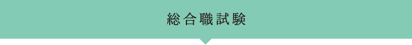 総合職試験