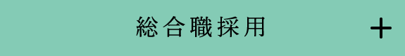 総合職試験