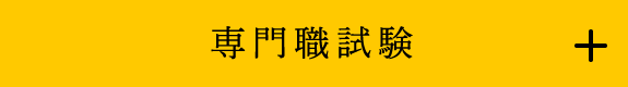 専門職試験