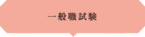 一般職試験