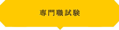 専門職試験
