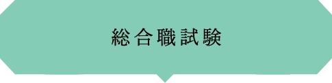 総合職試験