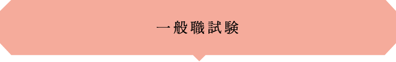 一般職試験