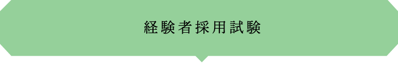 一般職試験