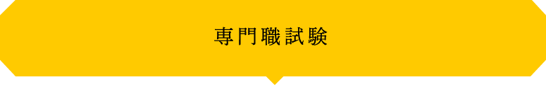 専門職試験