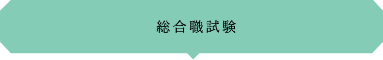 総合職試験