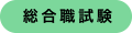 総合職試験