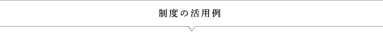 制度の活用例